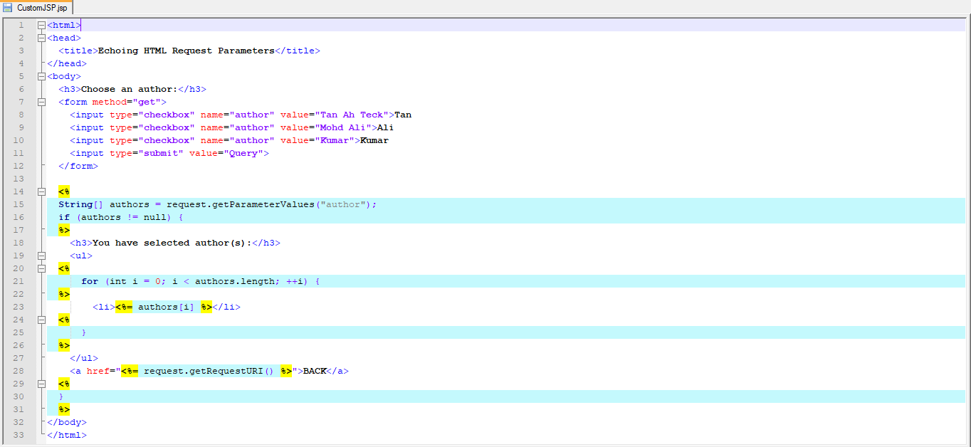 Example of Custom JSP file Example of Custom JSP file