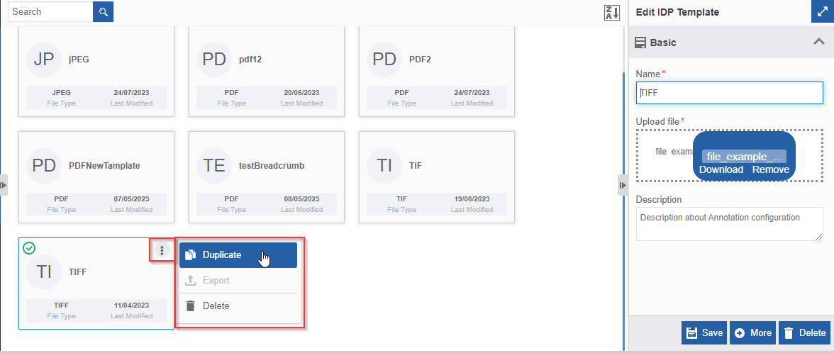 Duplicating the IDP Template Duplicating the IDP Template