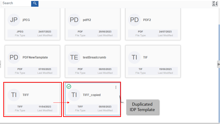Duplicated IDP Template Duplicated IDP Template