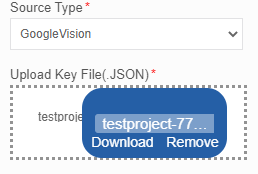 Google Vision Key File Google Vision Key File