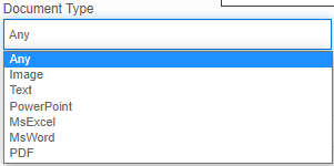 Document Type Document Type