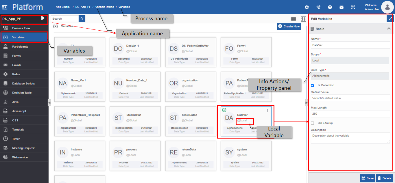 Local level (e.g., process flow) variables Local level (e.g., process flow) variables