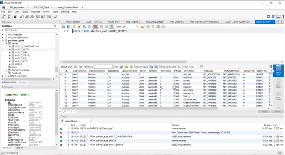 AUDIT ENTITY table AUDIT ENTITY table