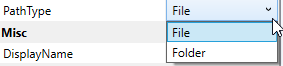 Path Type Path Type